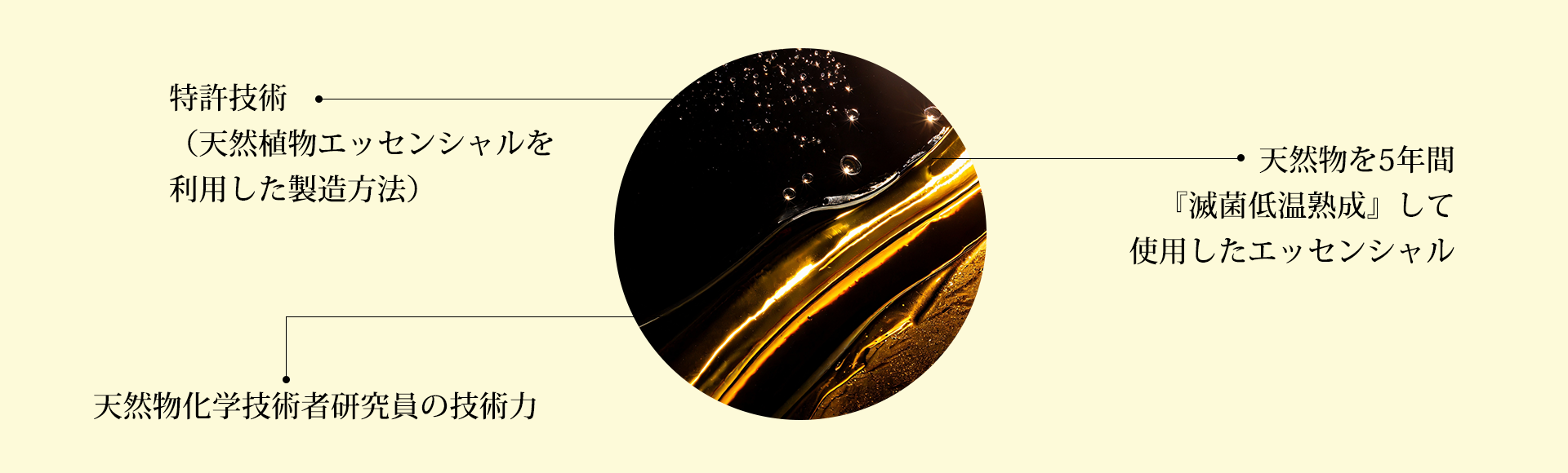 含有成分イメージ